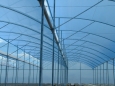Петслойни полиетиленови покрития за оранжерии и тунели, внос от Израел